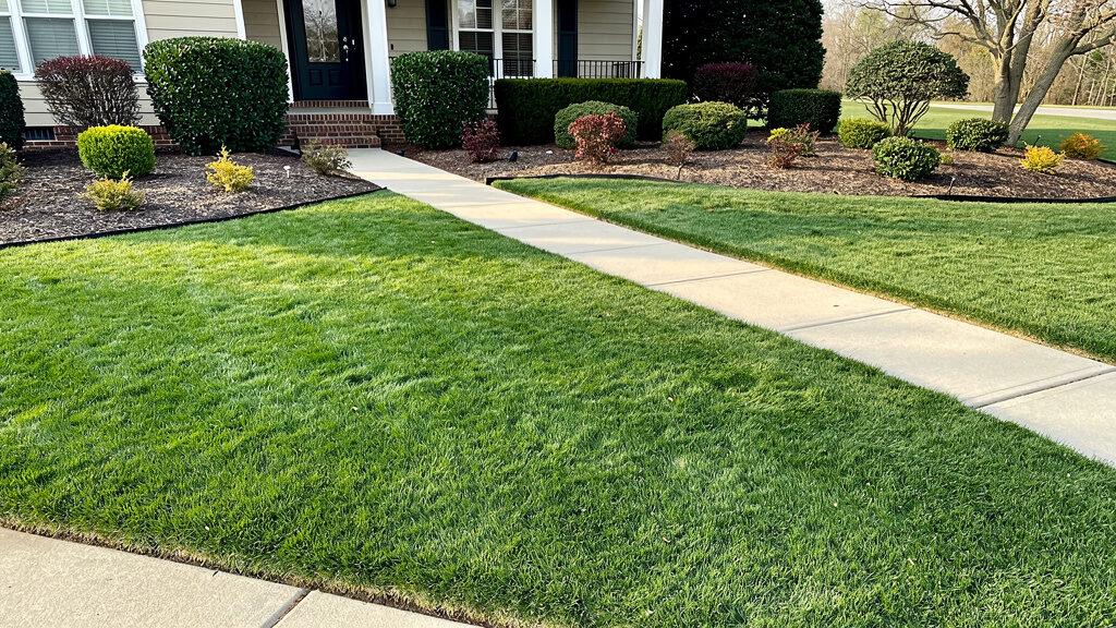 Large fallen tree limbs and debris scattered across a yard in Indianapolis